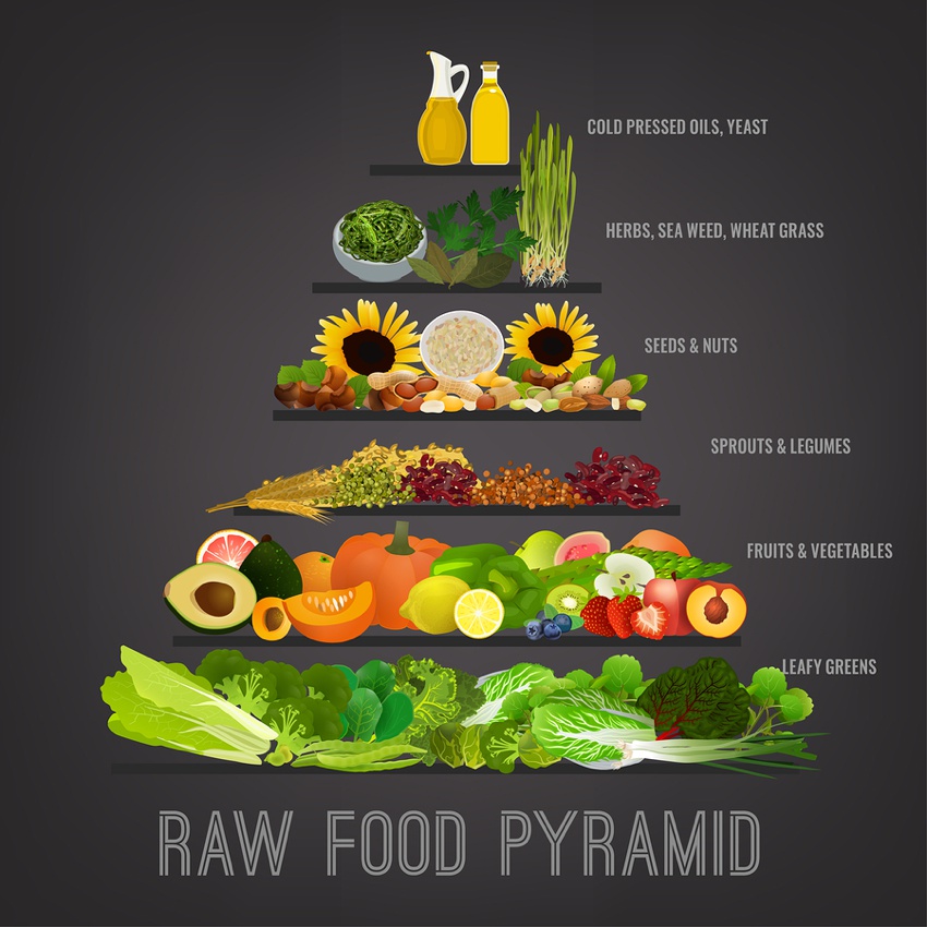 How To Start On A Raw Food Diet - Economicsprogress5