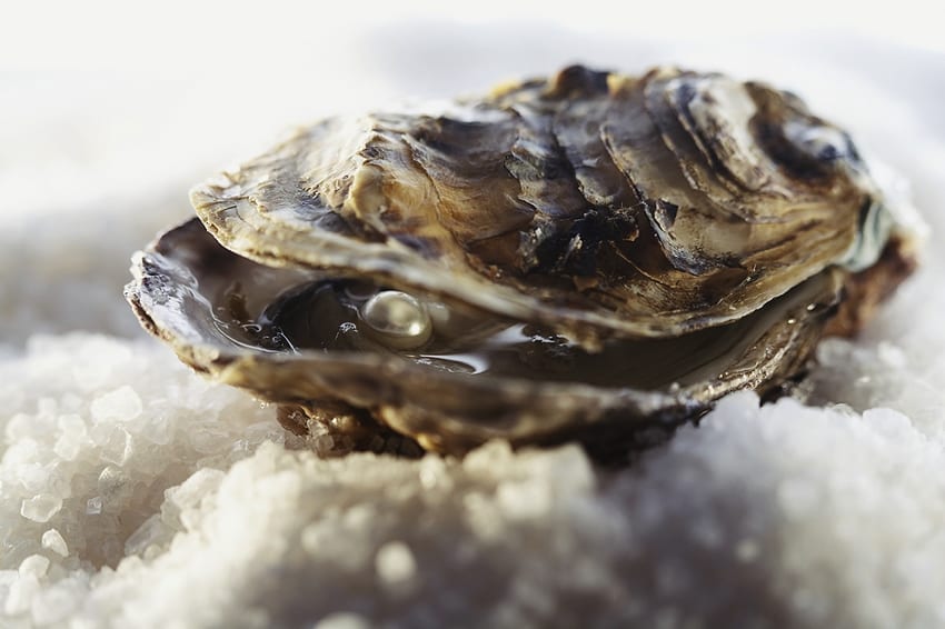 How Do Oysters Make Pearls?